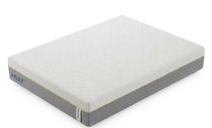 WellFlex 1.0 Mattress 12” Firm BY Mlily